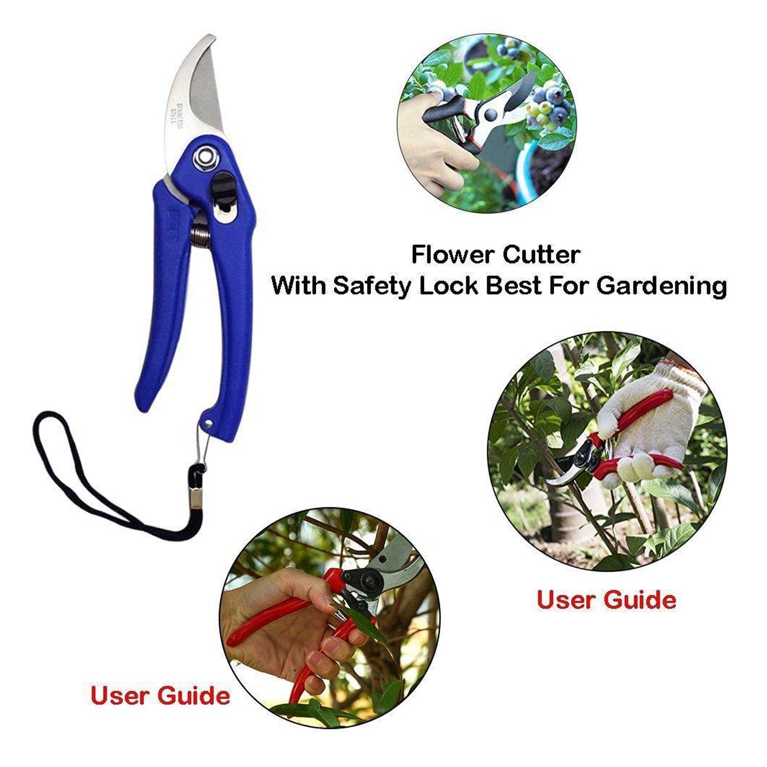 0465A Garden Shears Pruners Scissor for Cutting Branches, Flowers, Leaves, Pruning Seeds DeoDap 0465A Garden Shears Pruners Scissor for Cutting Branches, Flowers, Leaves, Pruning Seeds DeoDap